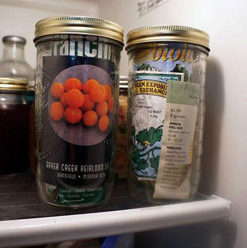 Семена в холодильнике