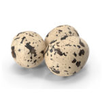 Перепелиные яйца — как и где хранить