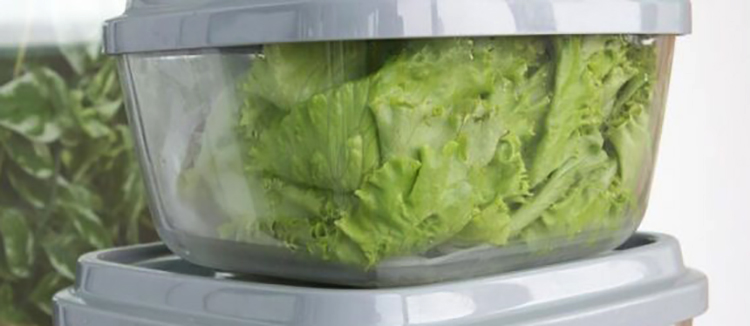 Листовой салат в контейнере