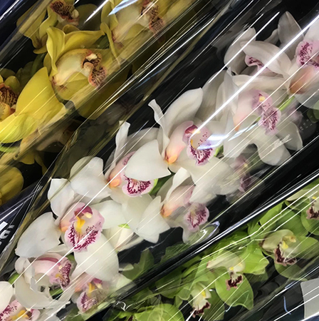 Орхидеи в срезке