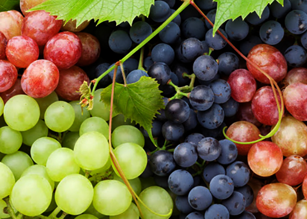 Разные виды винограда