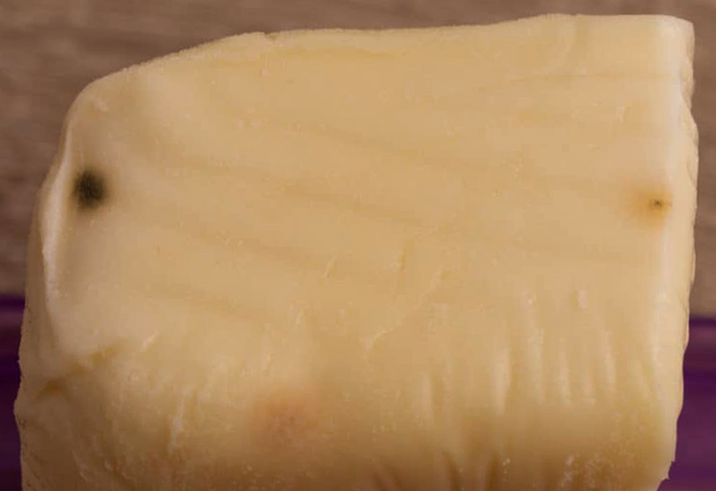 Испорченный сыр моцарелла